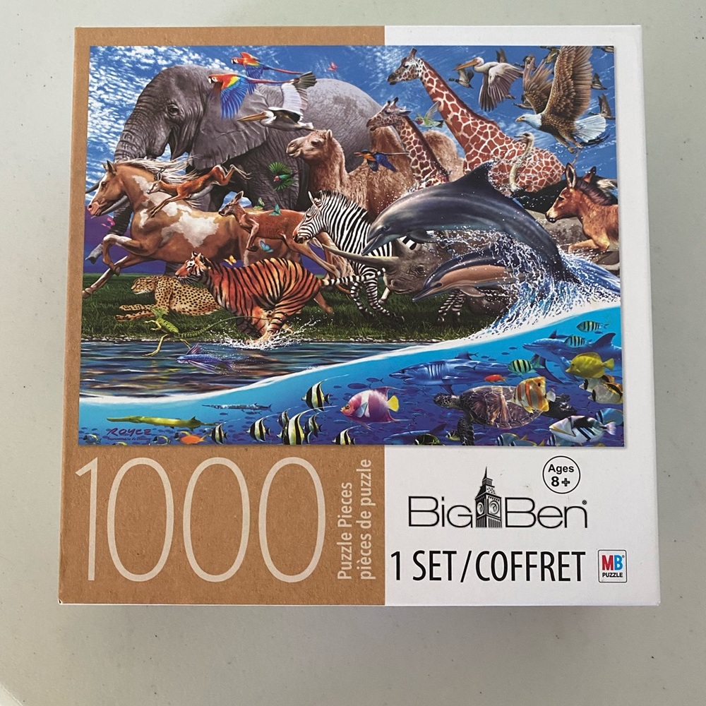1000 Piece Puzzle